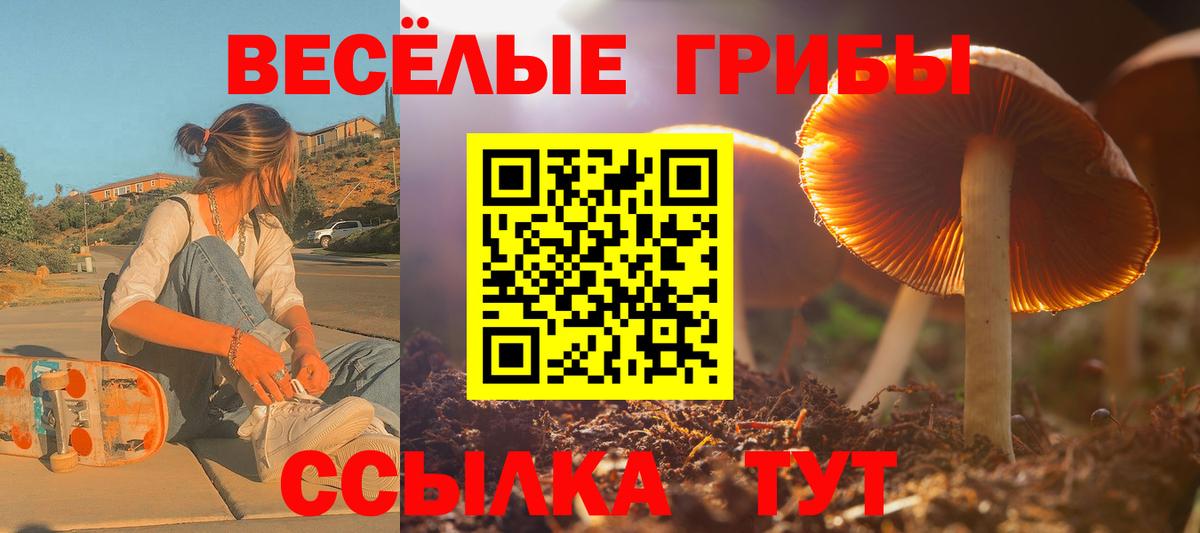 Саранск  Галлюциногенные грибы ЛСД  Вход с VPN 