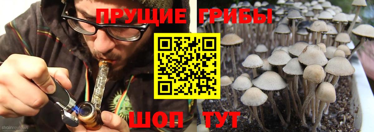 Галлюциногенные грибы MAGIC MUSHROOMS Саранск